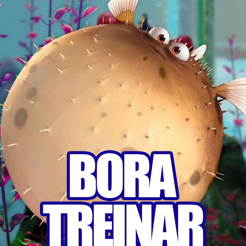 BORA TREINAR